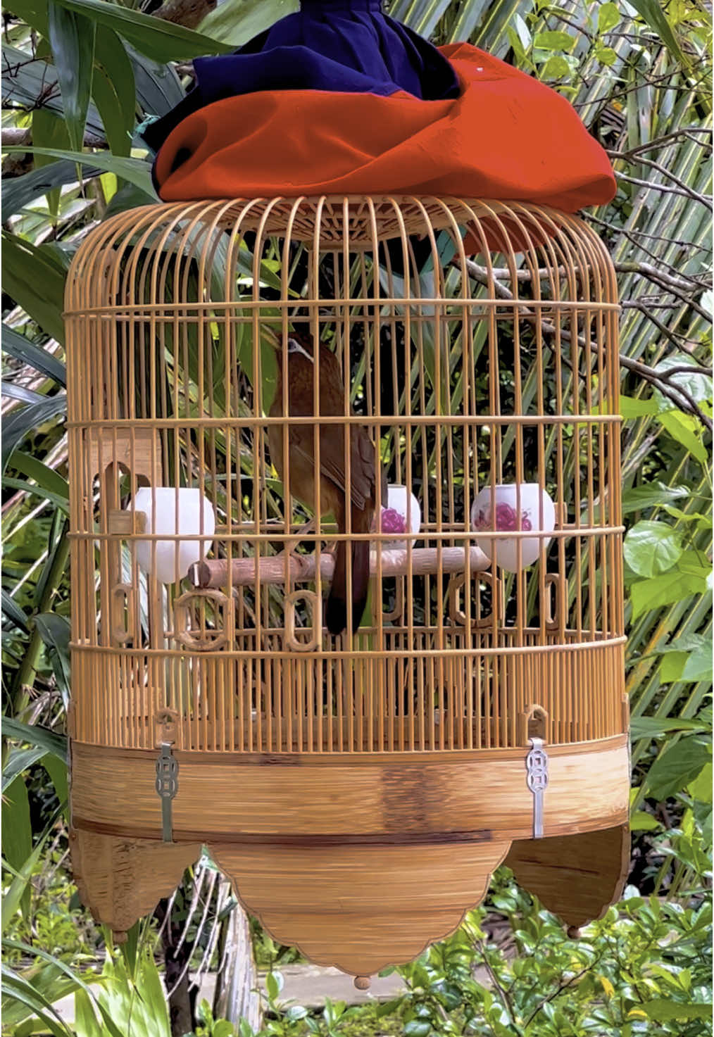 @Kiệt Nguyễn