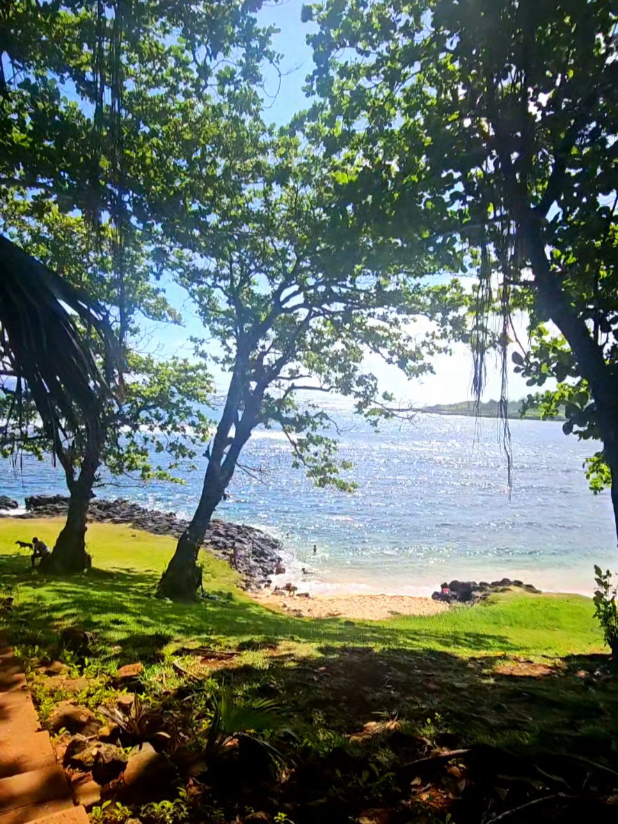 @Mo Pays Mo fiert&eacute; 🇲🇺