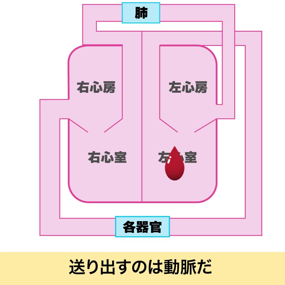 @個別指導塾L@愛知県豊橋市