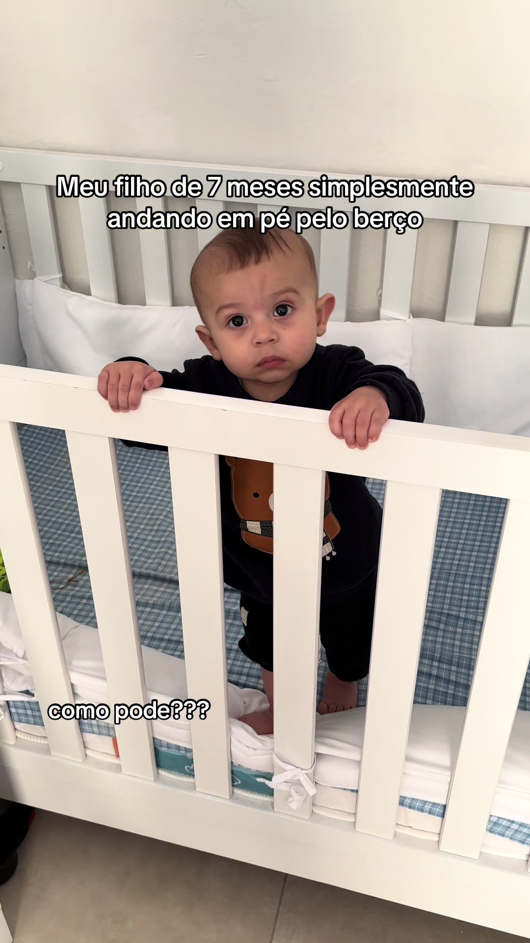@bibis
