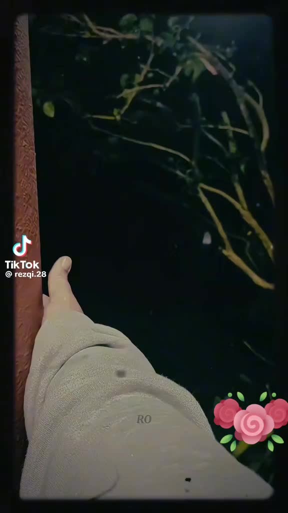 @_SkSelvi_