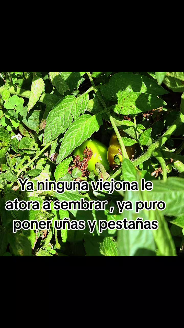 @Maggy♡