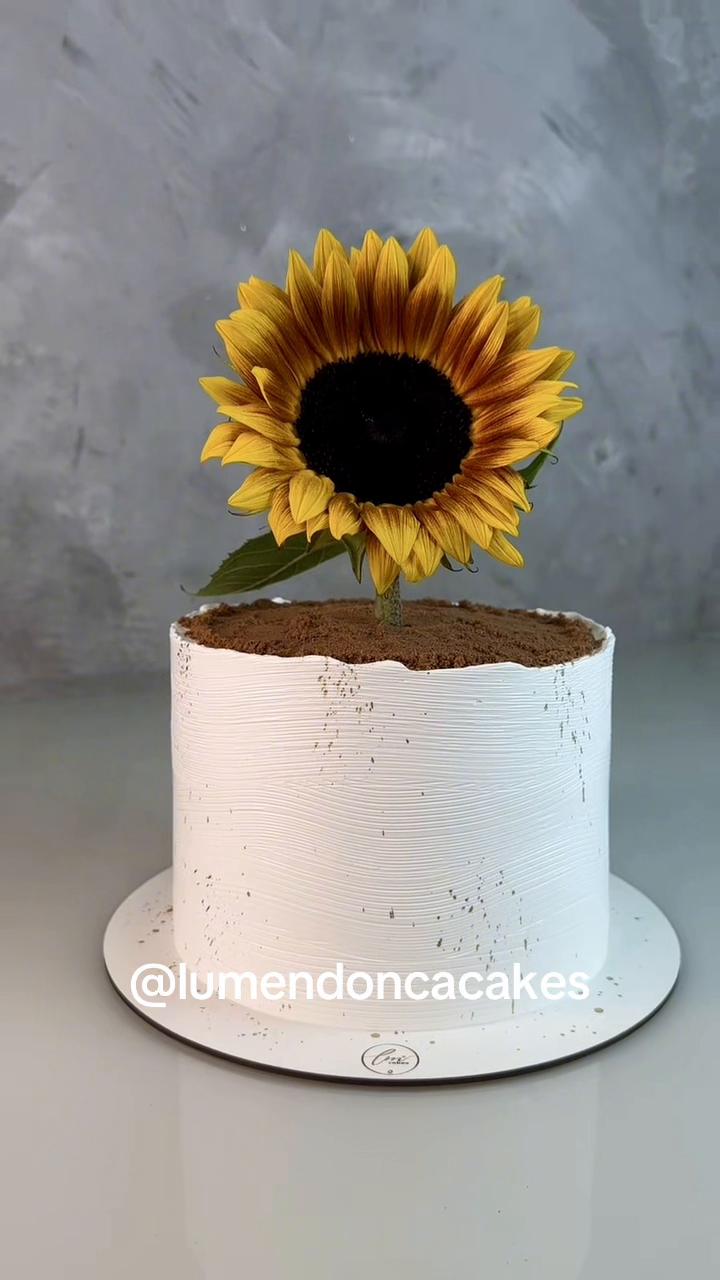 @lumendoncacakes
