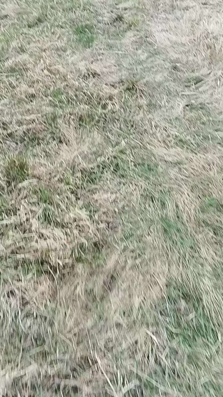 @Александр