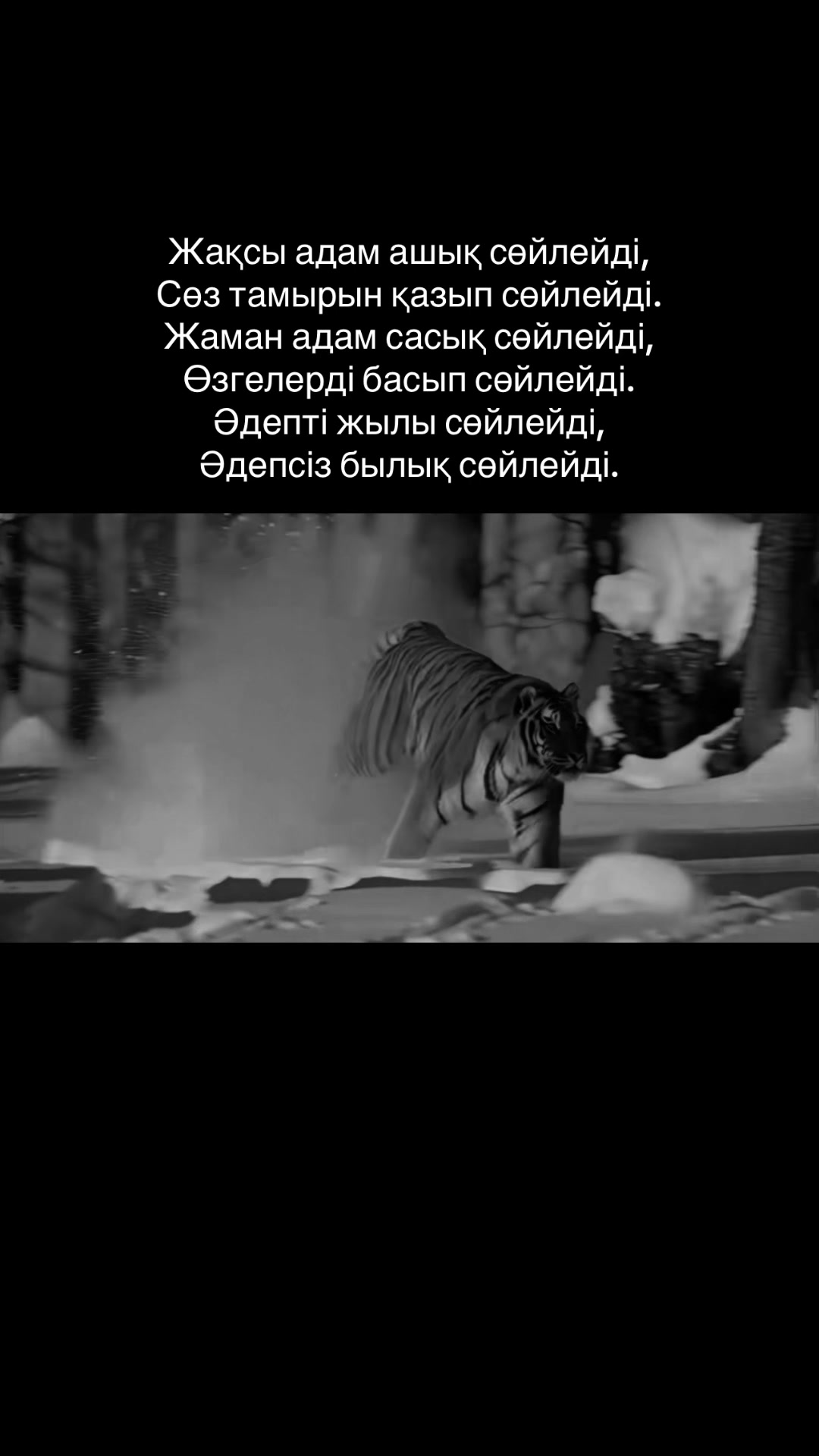 @zeroo_0011