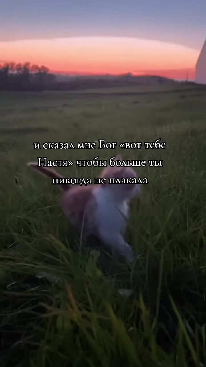 @я люблю Настю
