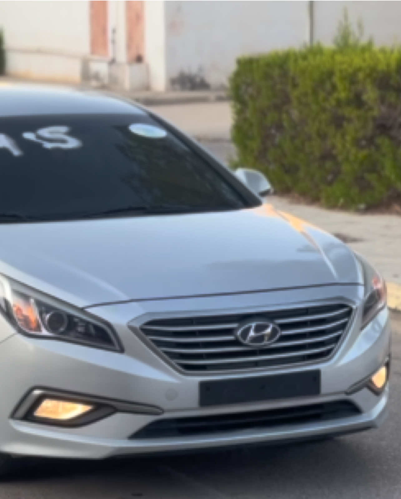 @عبدالمهيمن .