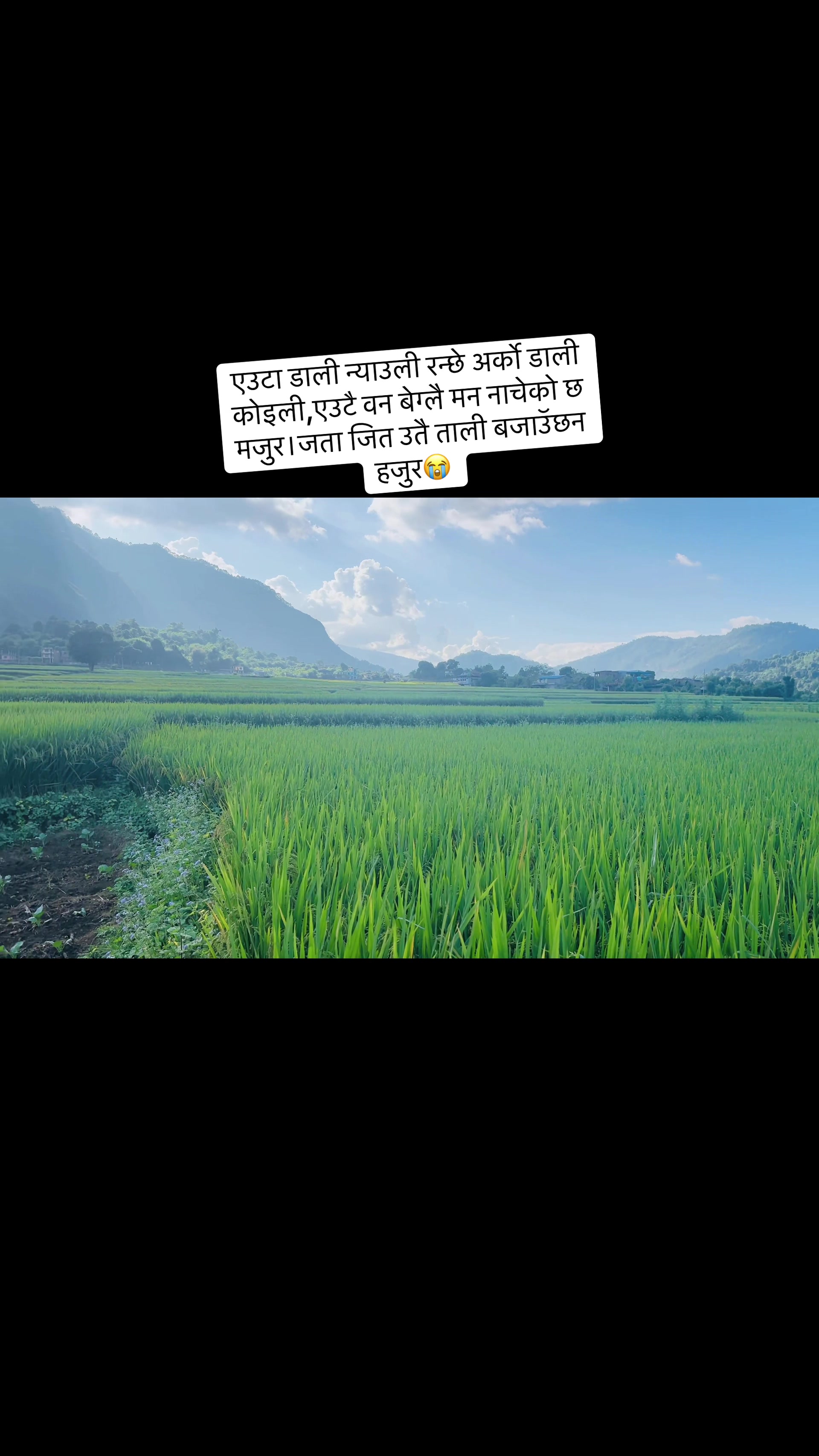 @Ritu Thapa