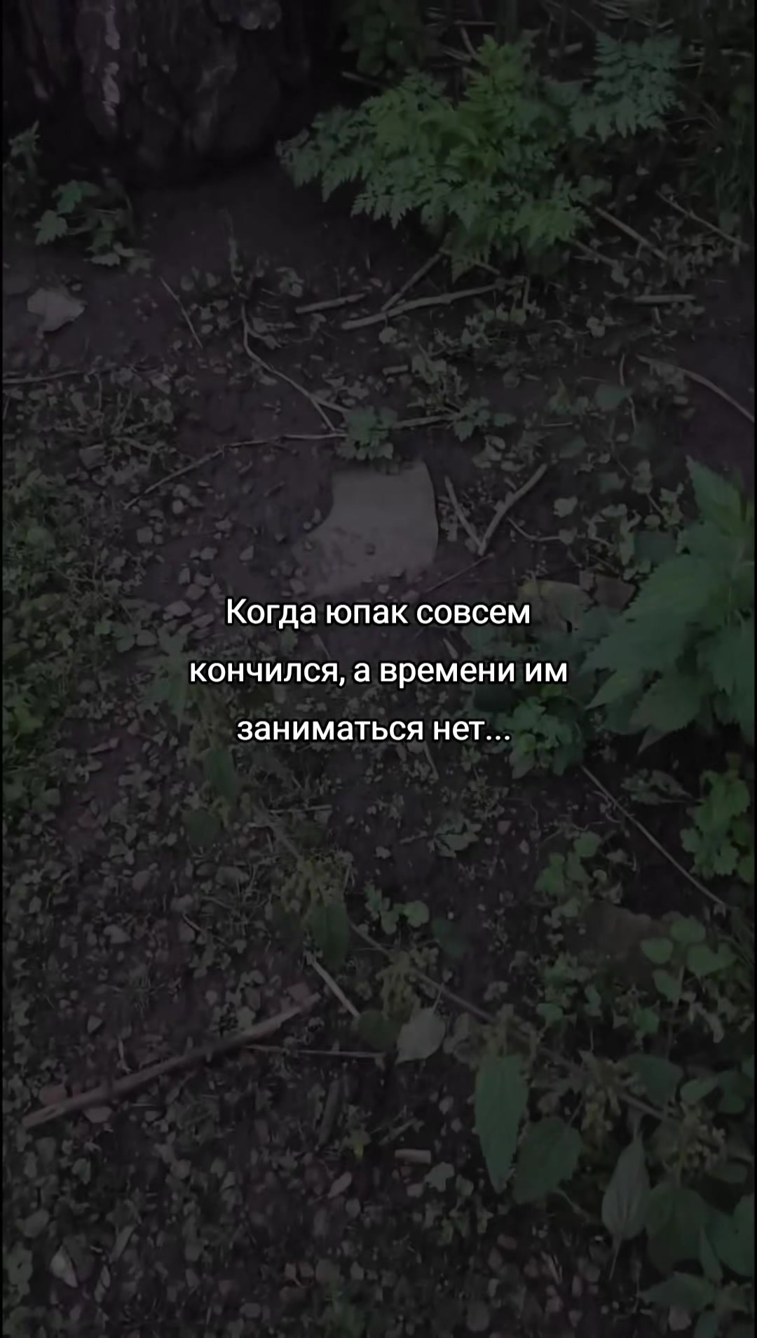 @⚜️Jupiter_159rus⚜️