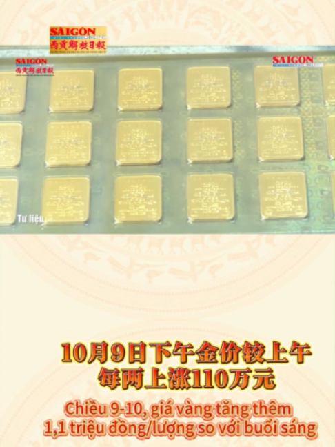 @西贡解放日报-Báo SGGP bản Hoa văn