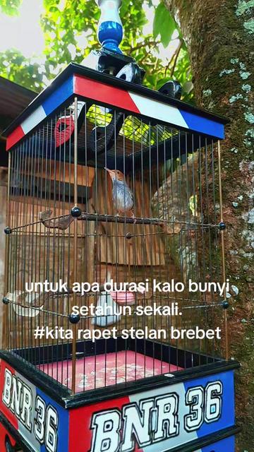 @KAPTEN
