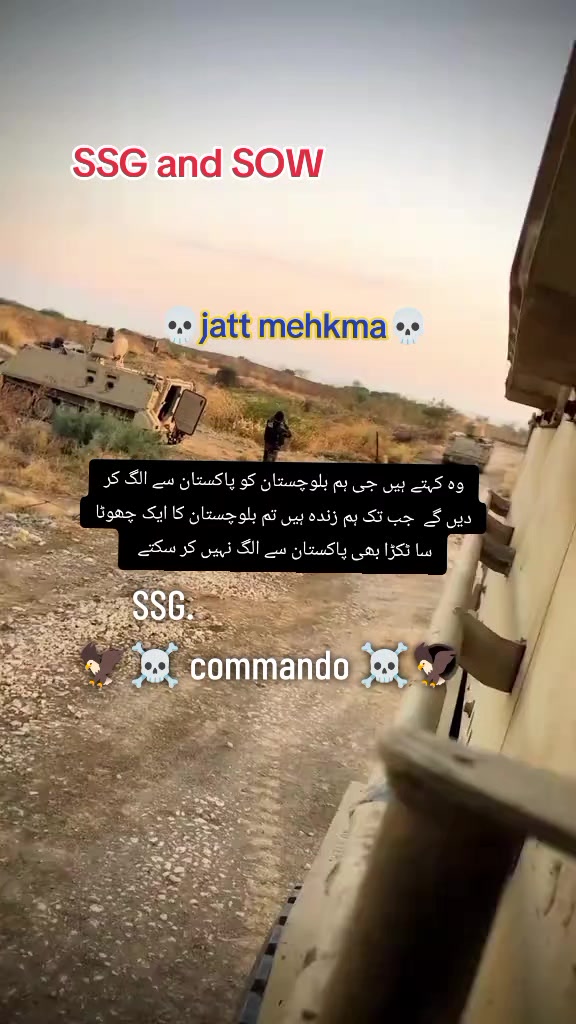 @☠️ SSG ☠️