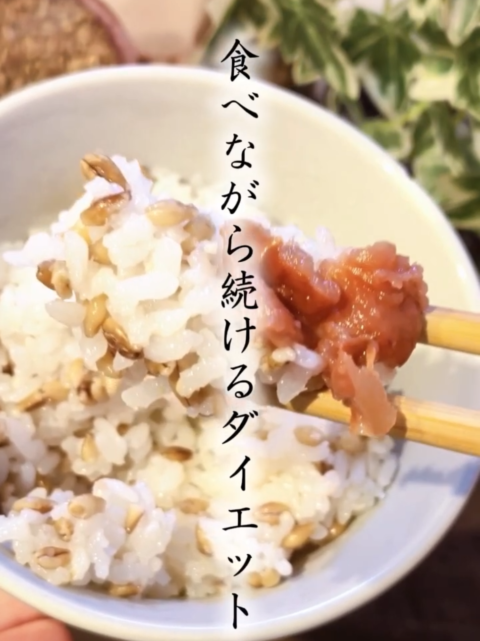 @TTS🌈MUKKU【本垢】