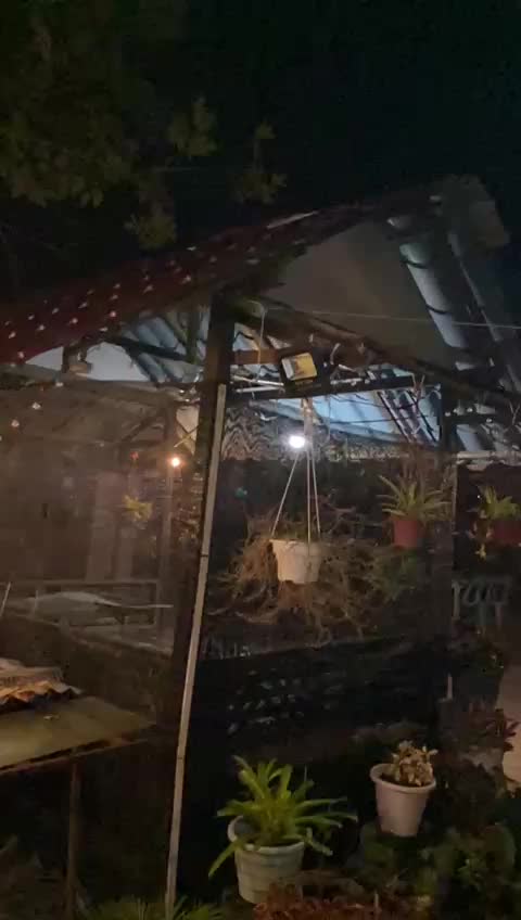 @zam cobras ๐ป๐ธ๏ธ๐ฅ๐