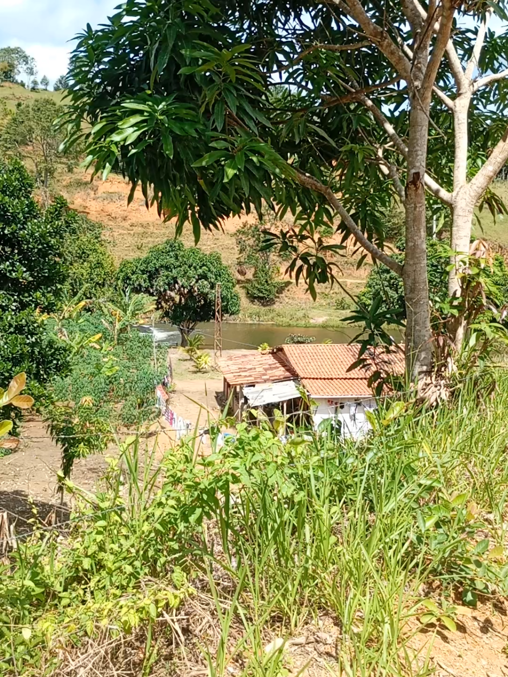 @Roça 🤠🌱