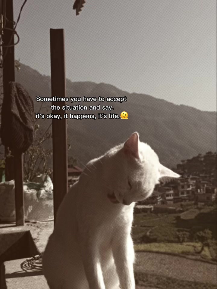 @FuCKiNg.LIFE🫩