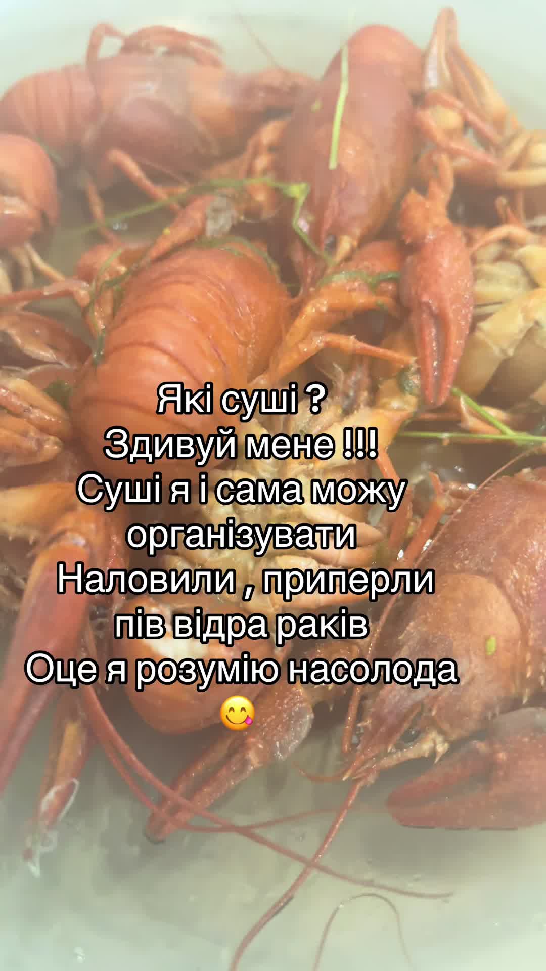 @OlEnKaFeIa