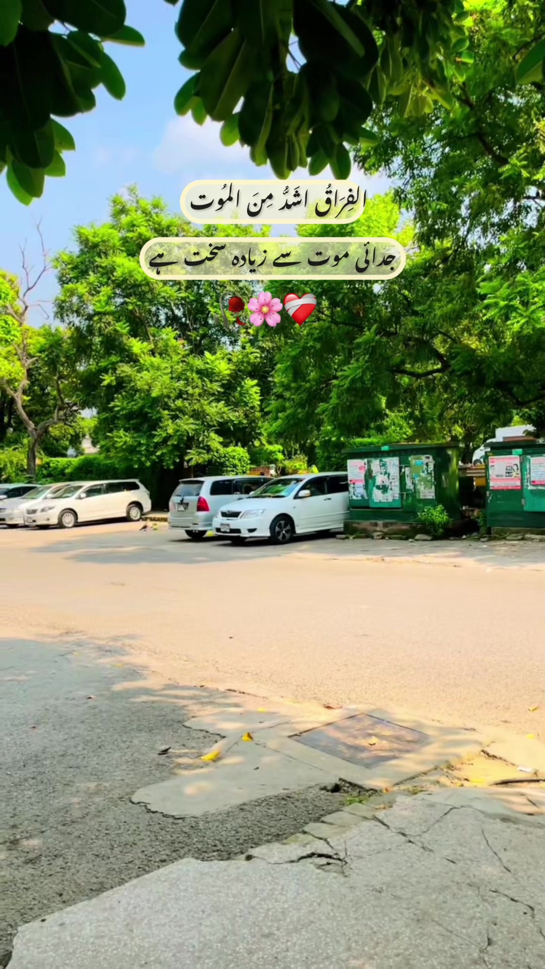 @Kayani🩶223