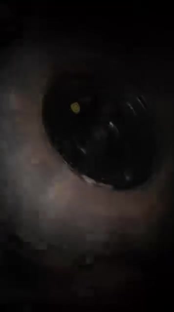 @cstackar