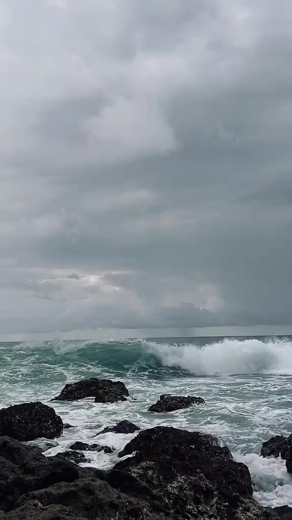 @𝘙𝘪𝘢𝘯𝘯 &bull;