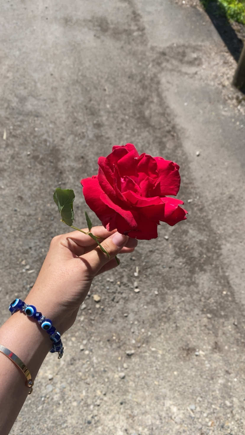 @𝐦𝐥𝐬𝐬.𝐳𝐳🌸