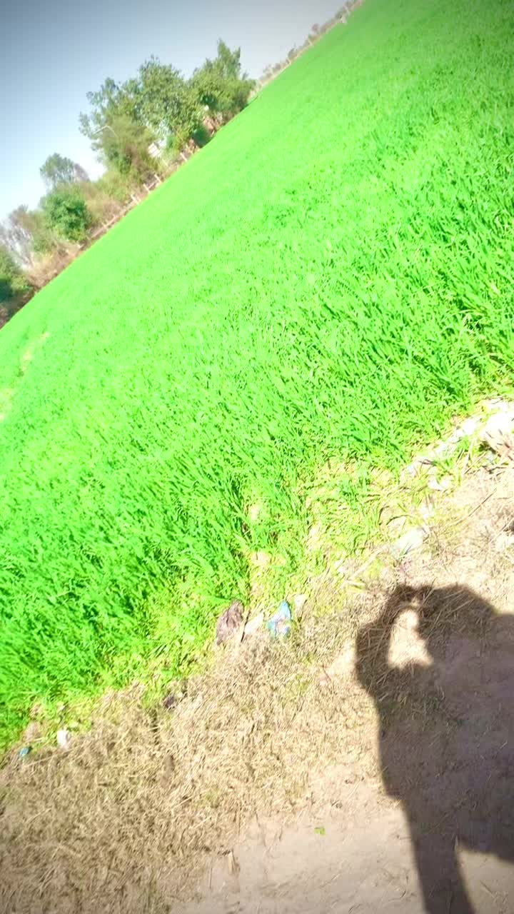 @nimraquveen2