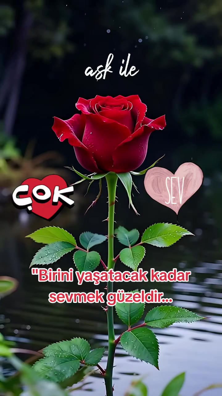 @gök baran