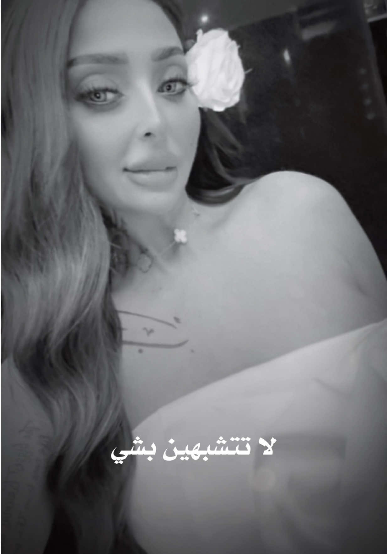 @Nour Elmaghraby💎