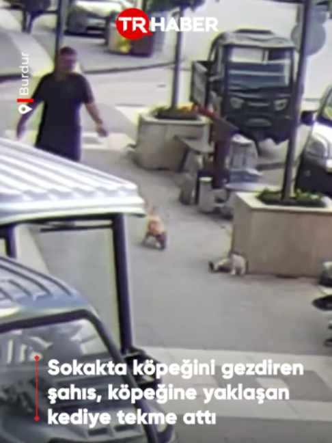 @TRHaber