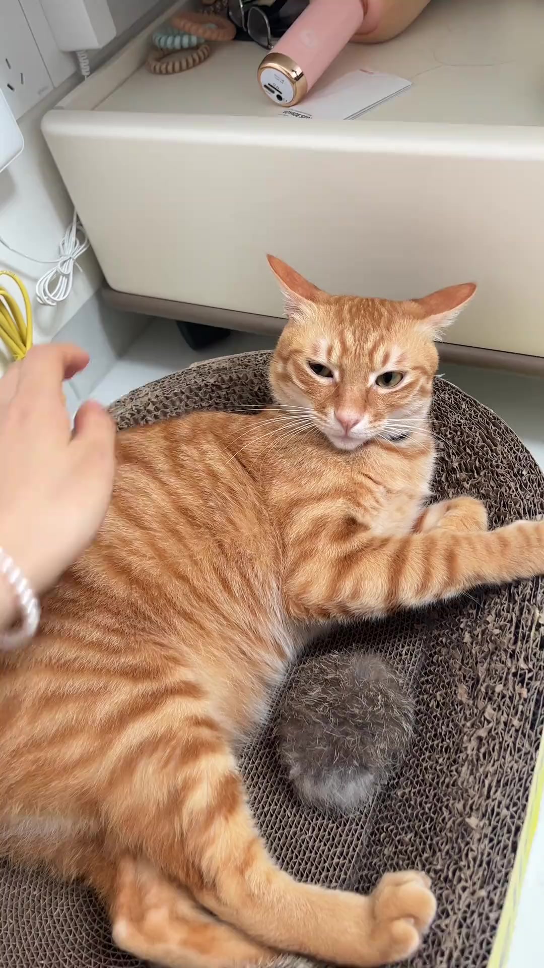 @FluffyTales