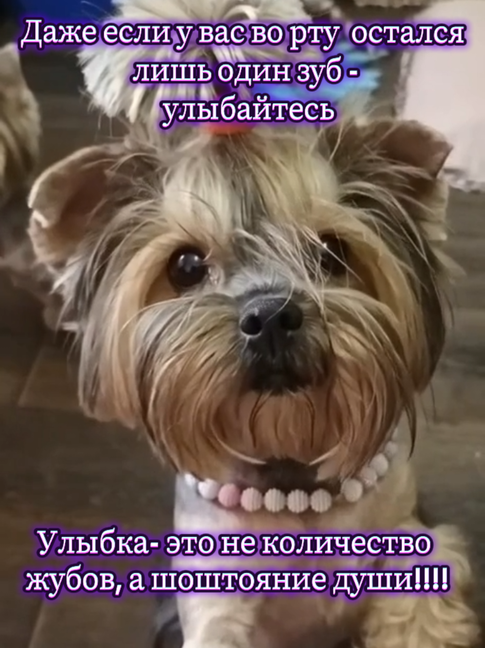 @Соня и Бетти ❤️