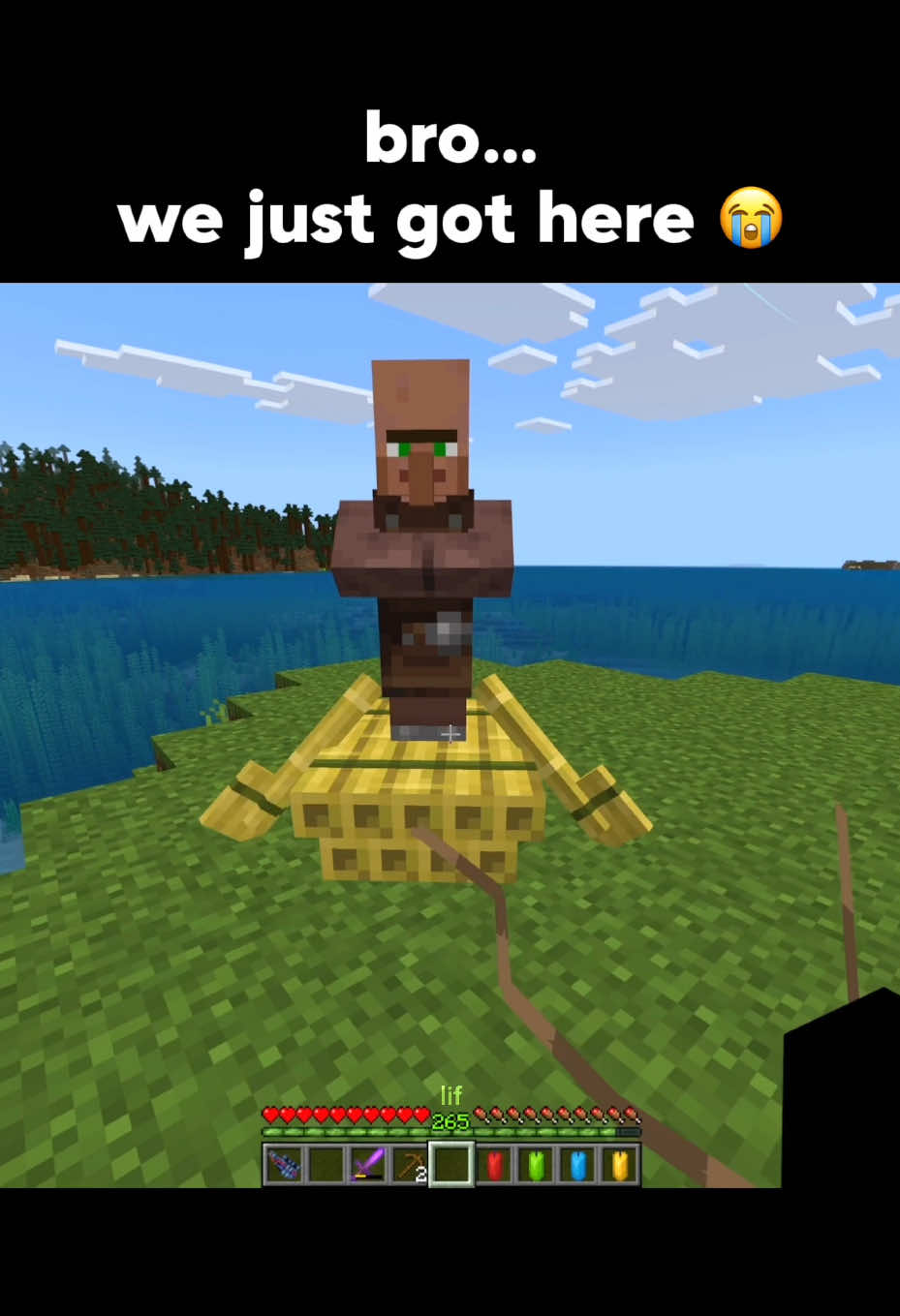 @lif
