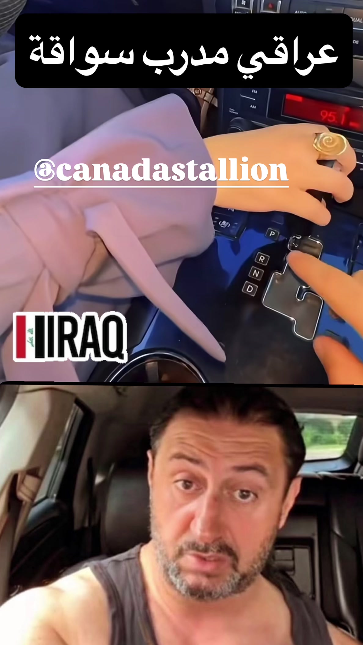 @Canadastallion 🇨🇦 الأصيل
