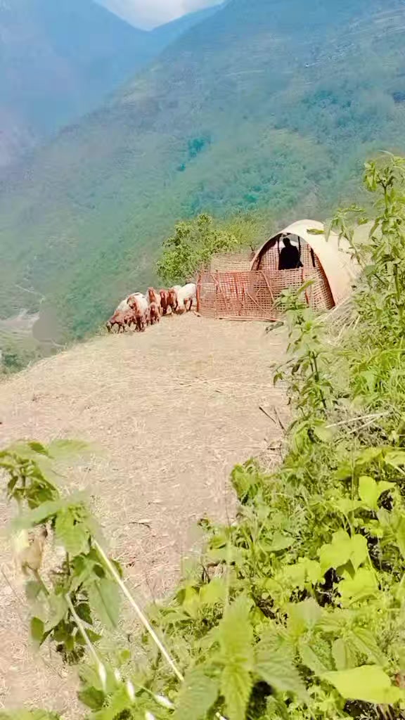 @ढालेनदर