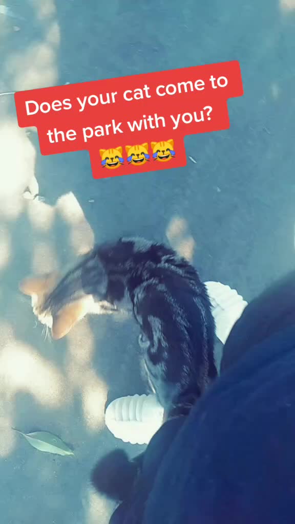 @Renee 🤙