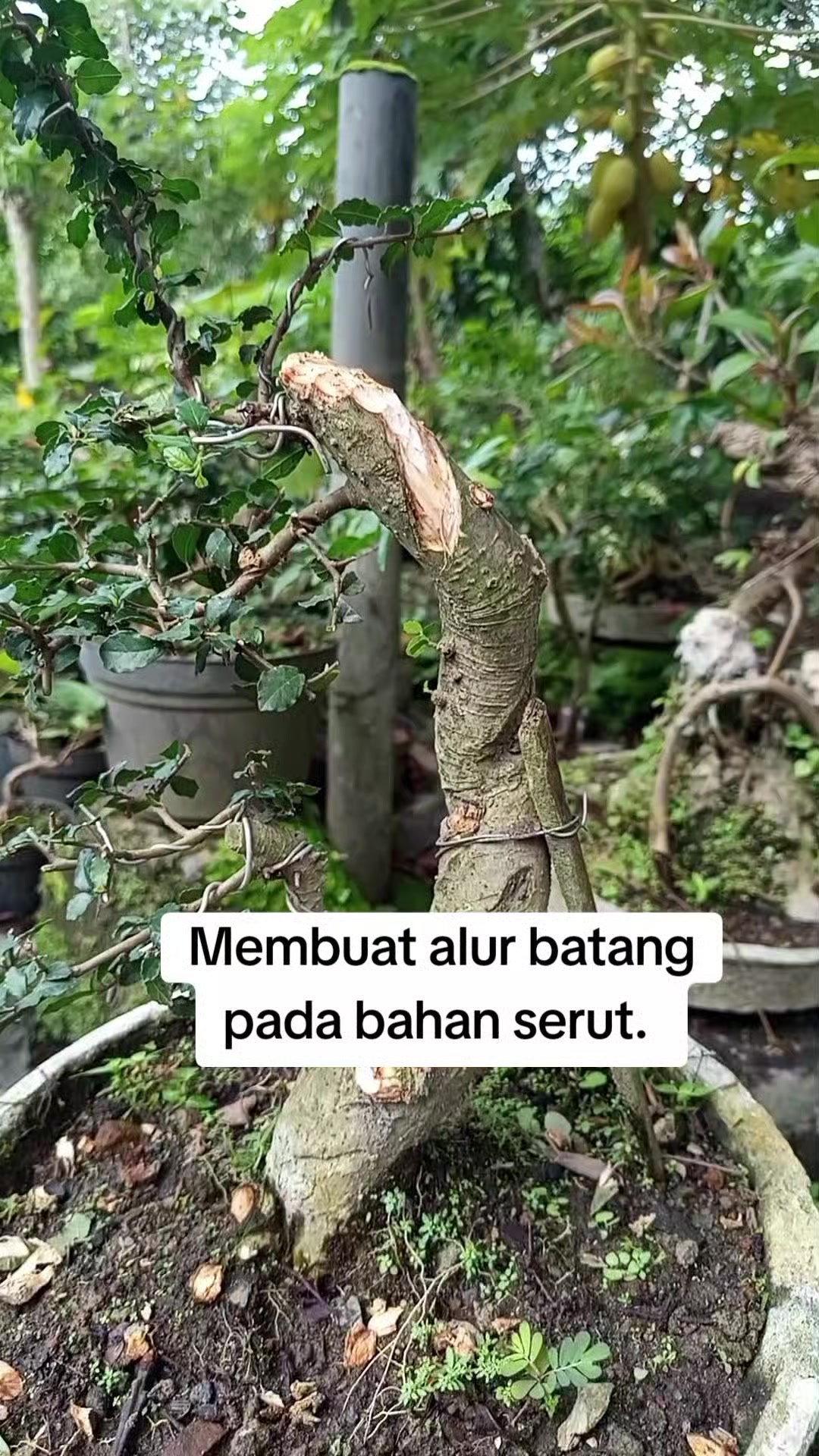 @Bos07