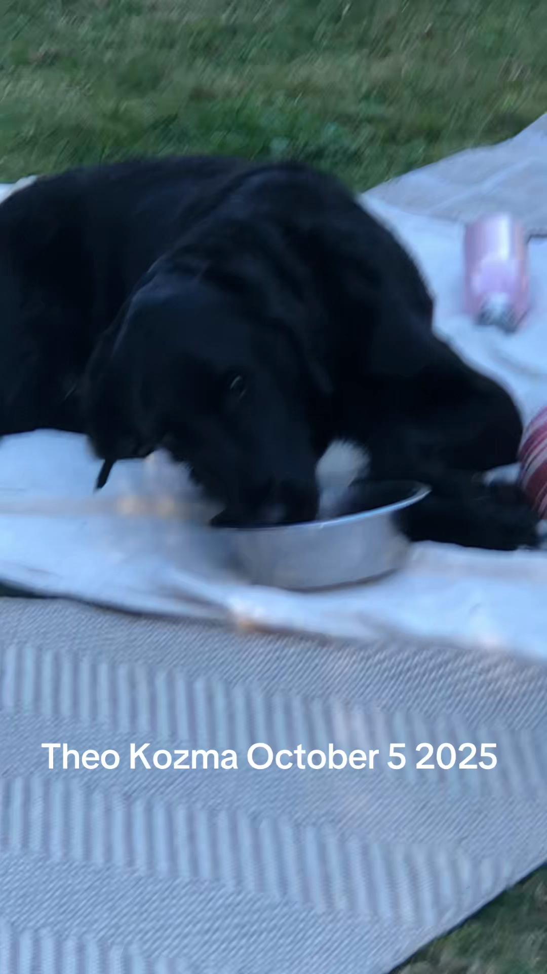 @Brigitte K ✝️🇨🇦🇹🇯🎃🧡👻🎃