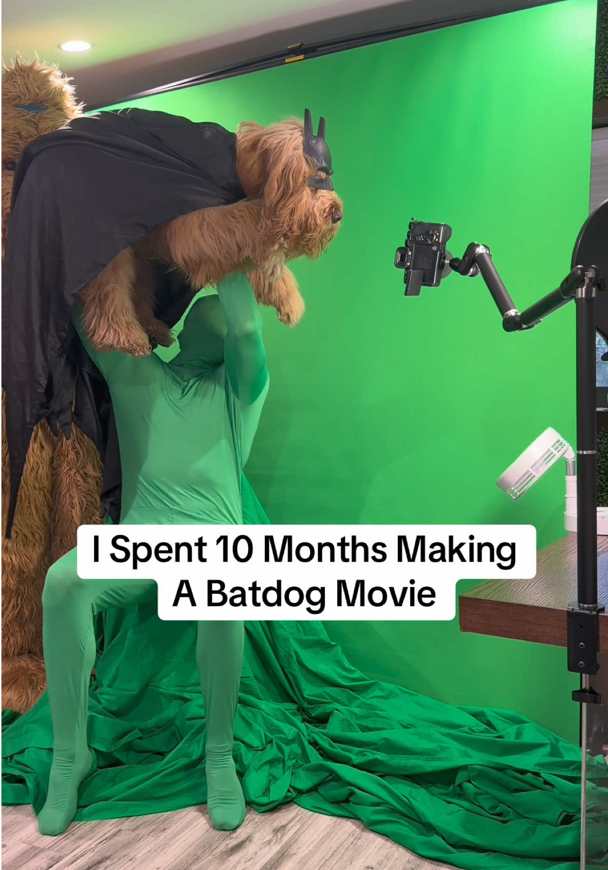 @Brodie The Goldendoodle