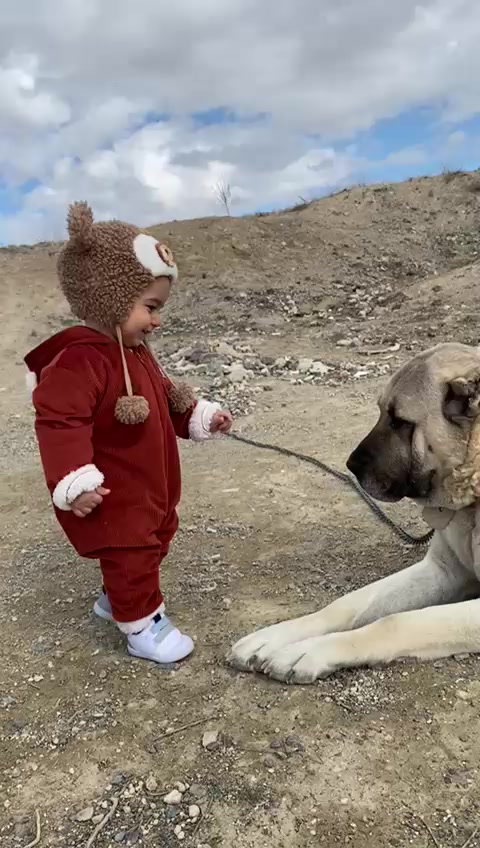 @kayaahmet50