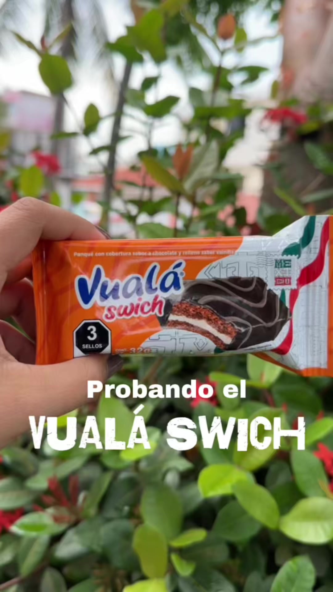 @Laguiadeltragon