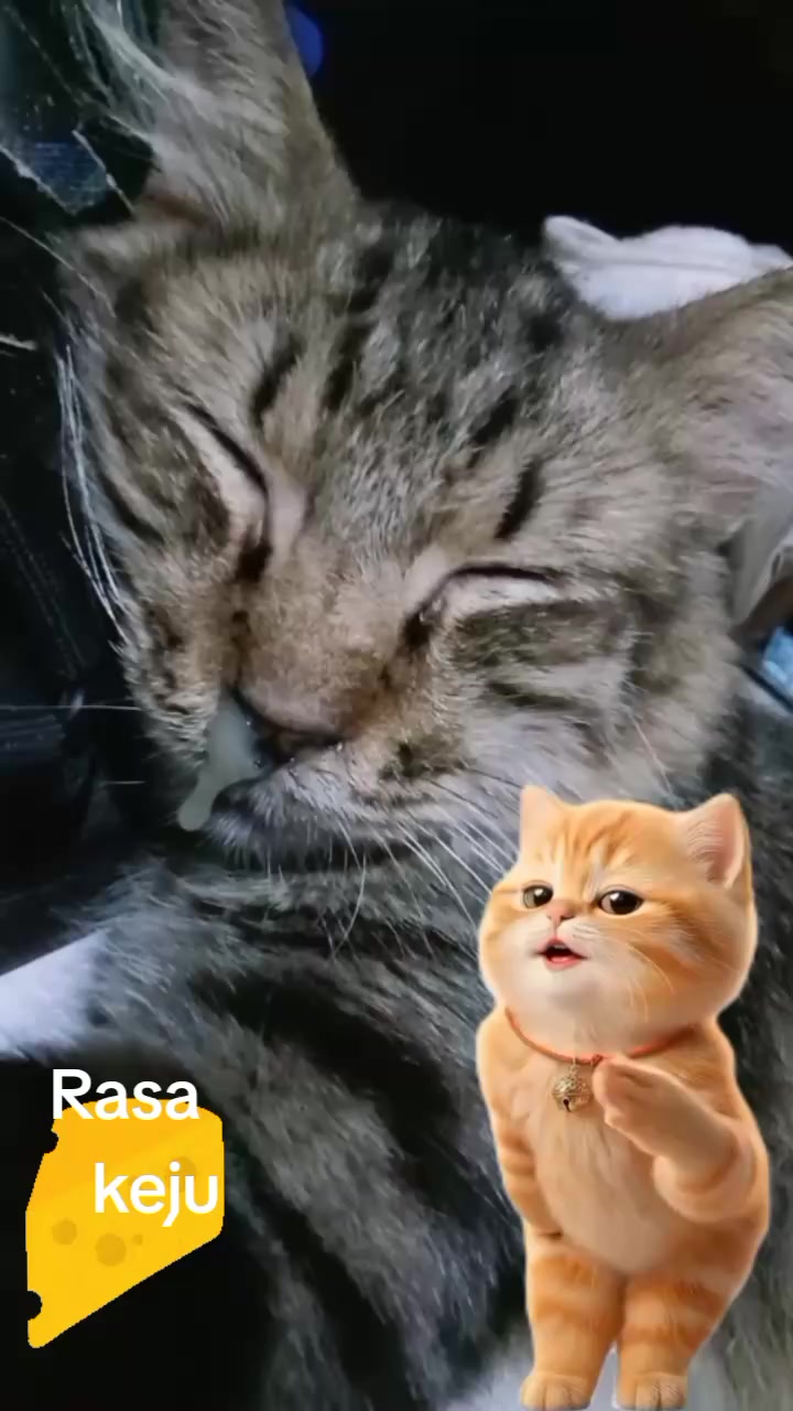 @Lia Dani