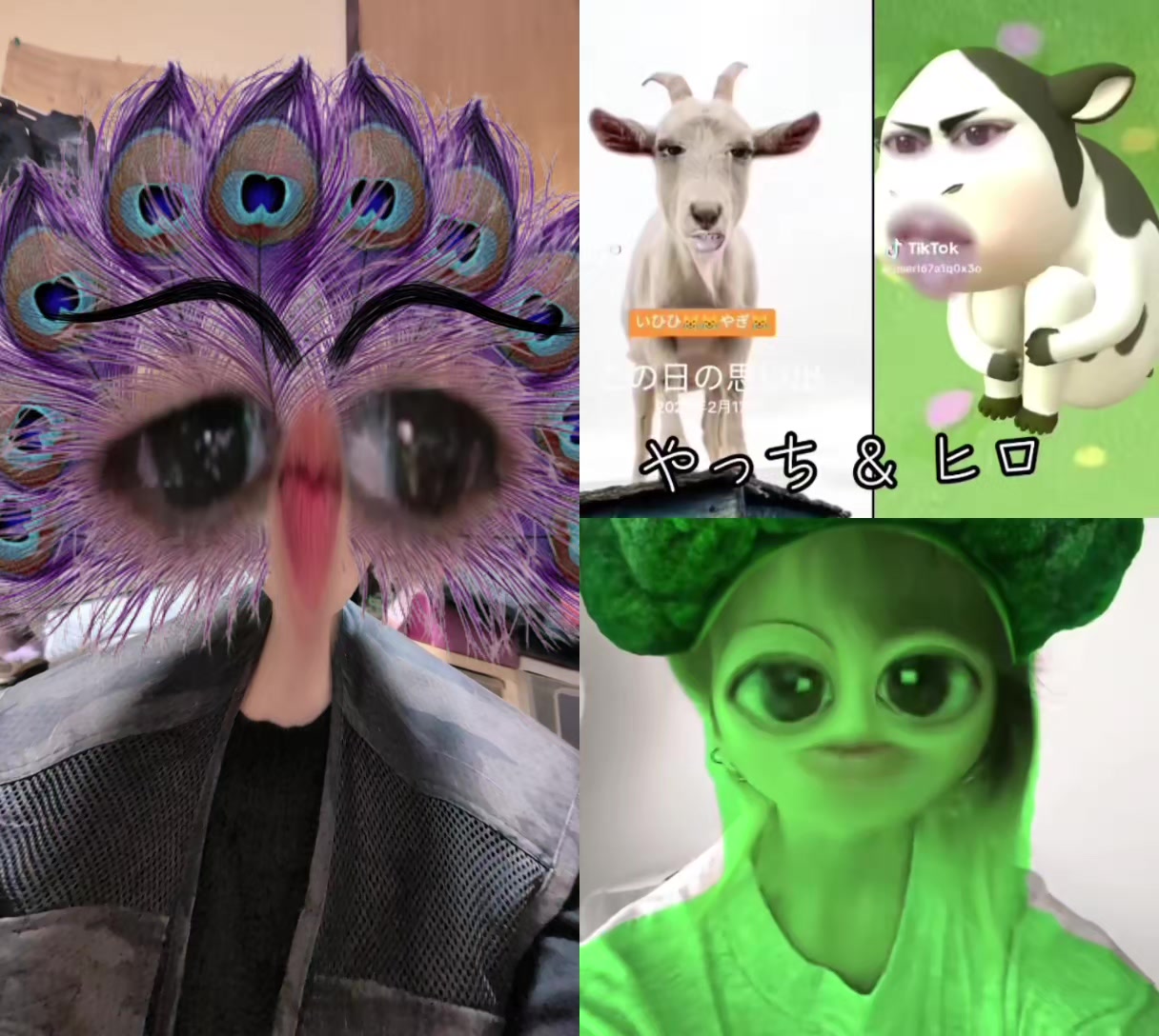 @🦅😎エナ🐉🐺🍮🦈🐲