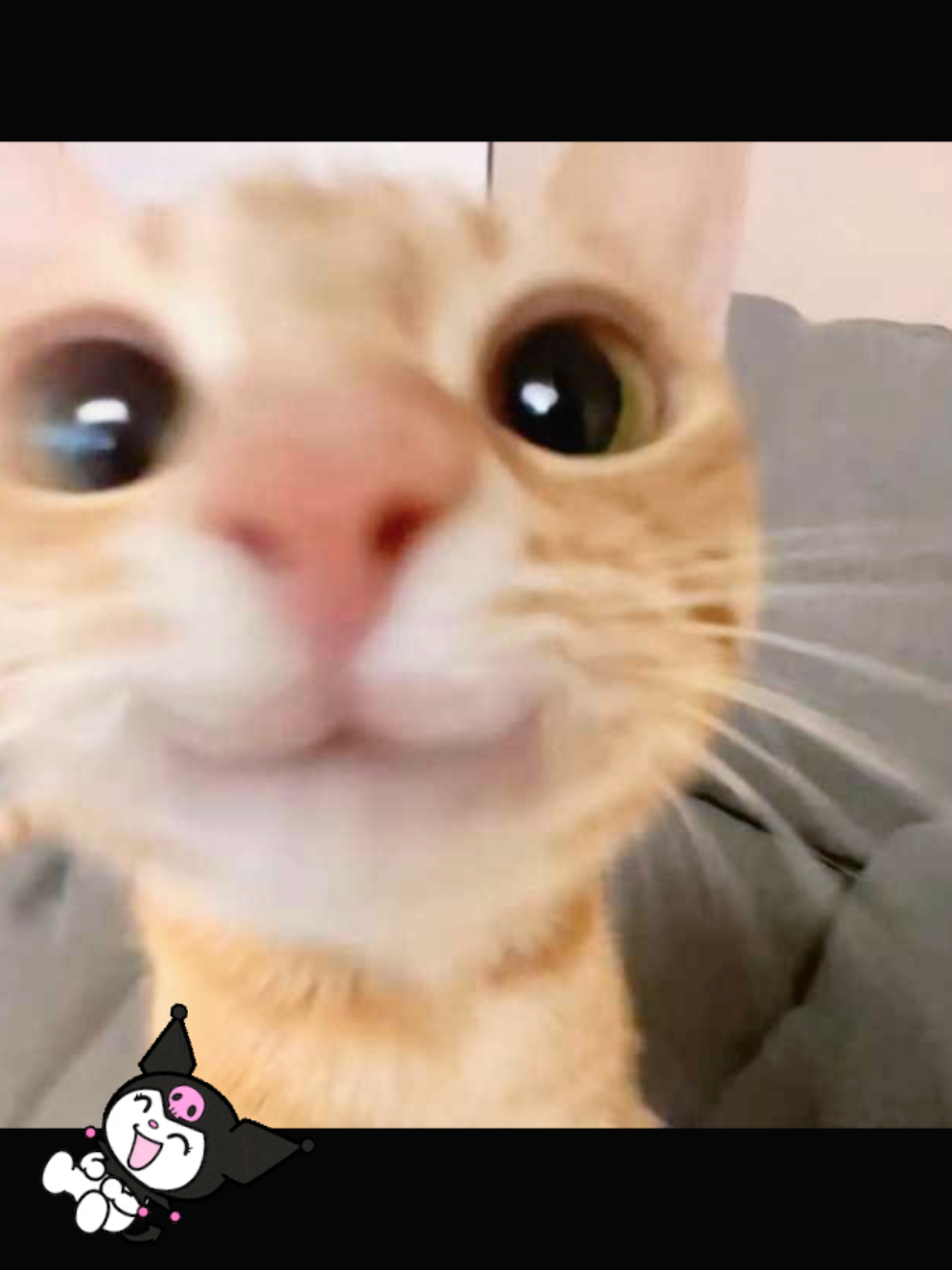 @.` ☆ 𝑩𝑬𝑪𝑲𝑰𝑬*♪