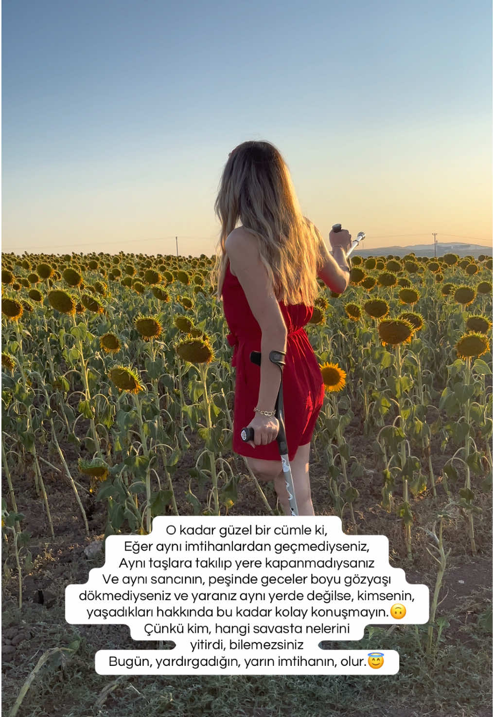 @meltemcekin22