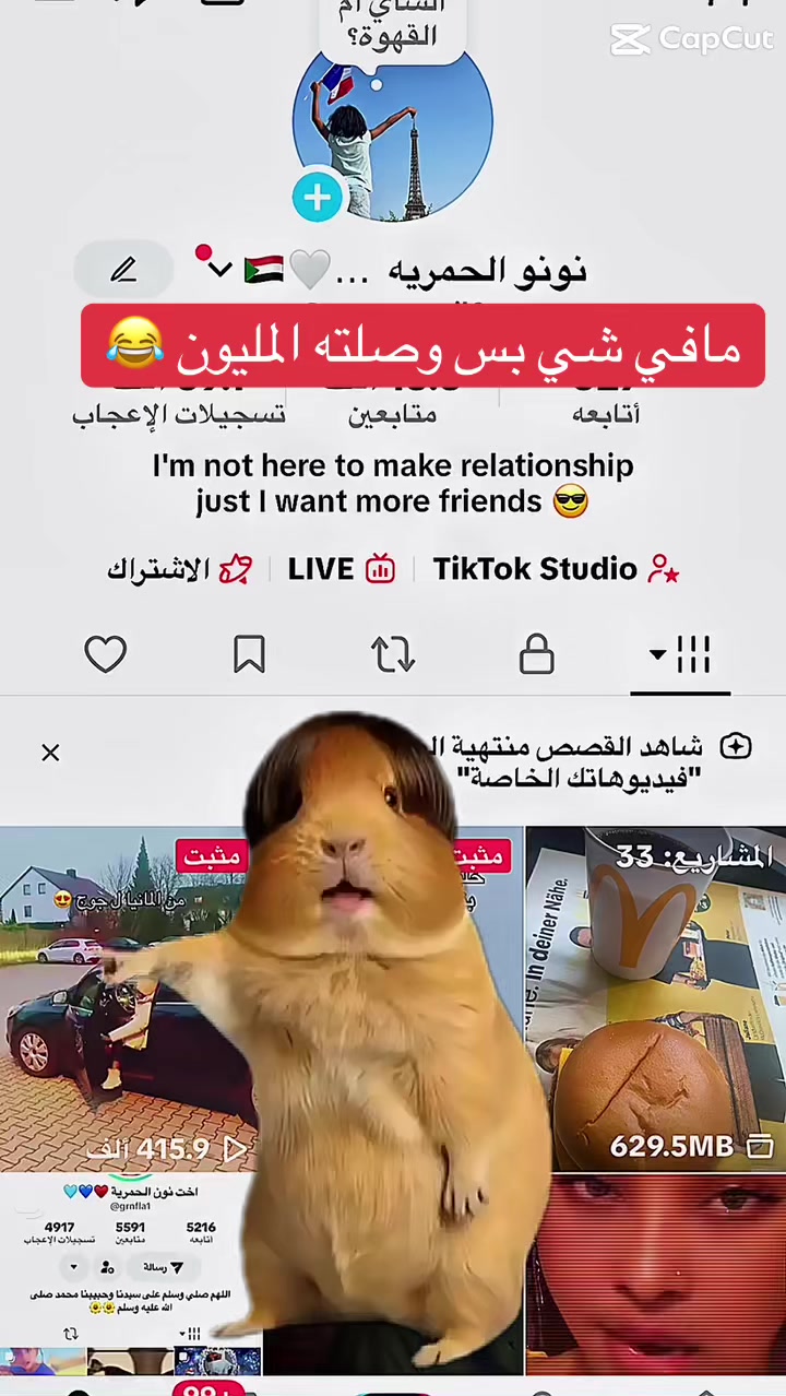@نونو الحمريه 🇸🇩🤍🖤💙❤️🇩🇪