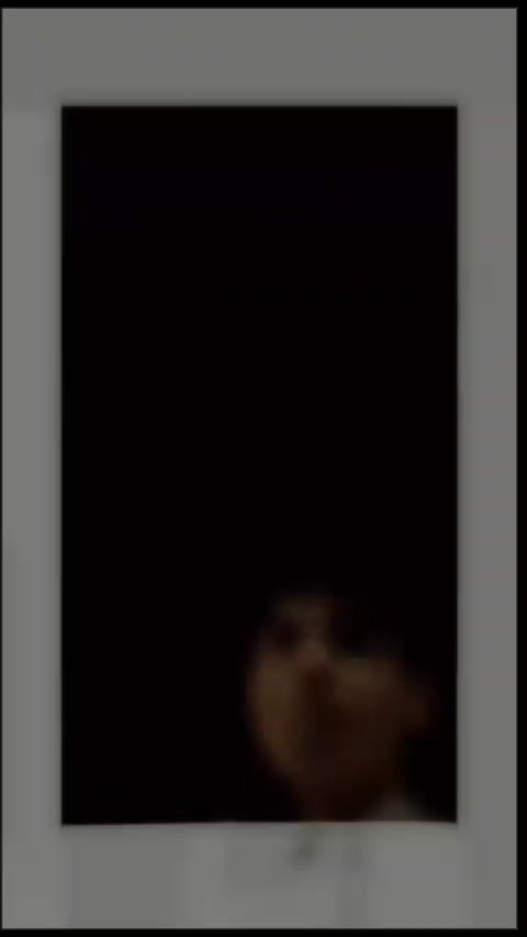 @zohaib007