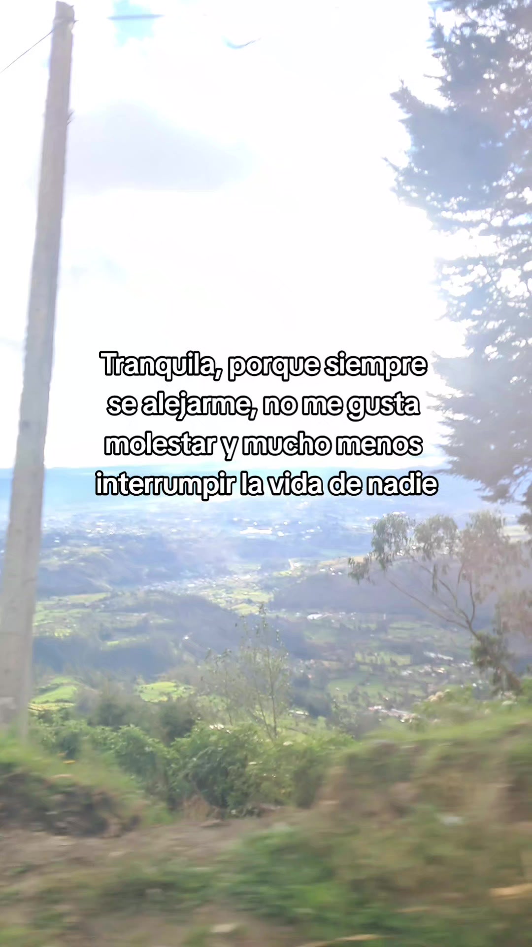 @Negrita