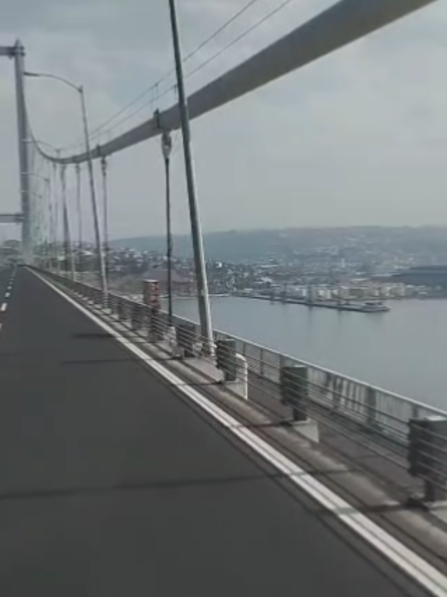 @TARAĞAN MÜZİK 25-59