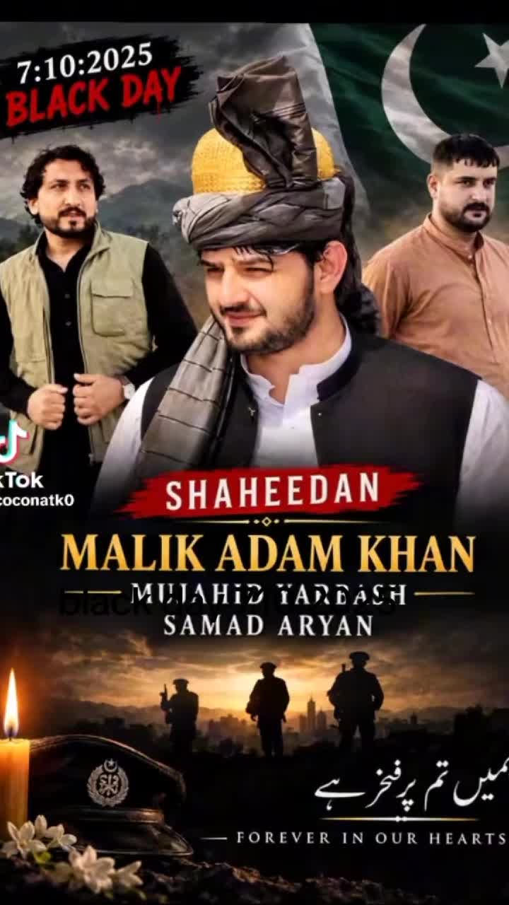 @sayedwalishaofficial