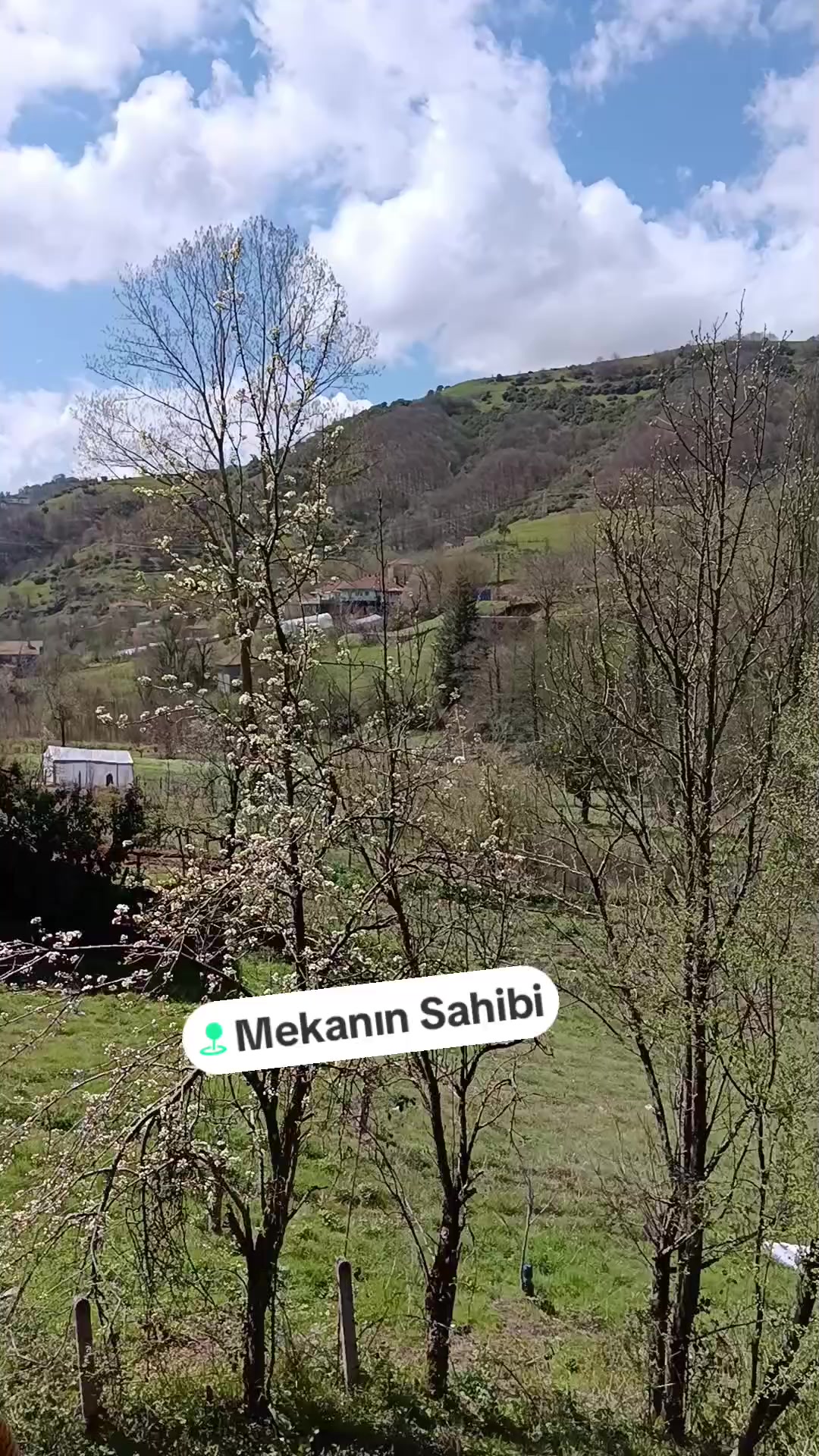@Ertan Şahin